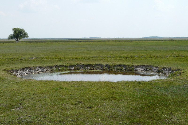 Foto: Zsófia Horváth